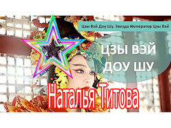 Наталья Титова - Набор Курсов