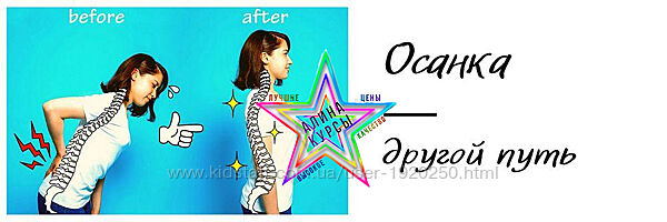 ShtDY - Набор Курсов