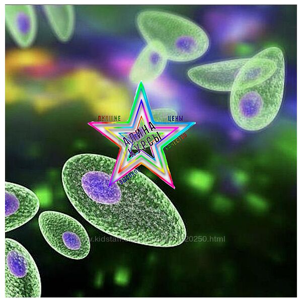 Елена Чунаева - Паразитоз