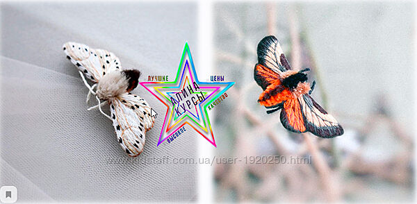 Светлана Казаченко - Мотыльковый мультимарафон Вышивка