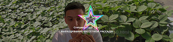 Иван Малич - Выращивание кассетной рассады