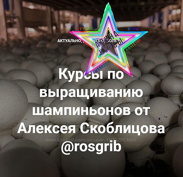 Алексей Скоблицов - Курсы по выращиванию шампиньонов