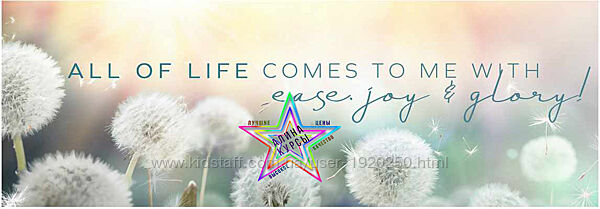 Дейн Хир - Набор Курсов