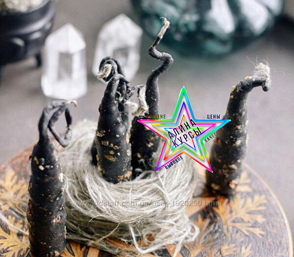 Светлана Леймах - 2 Курса