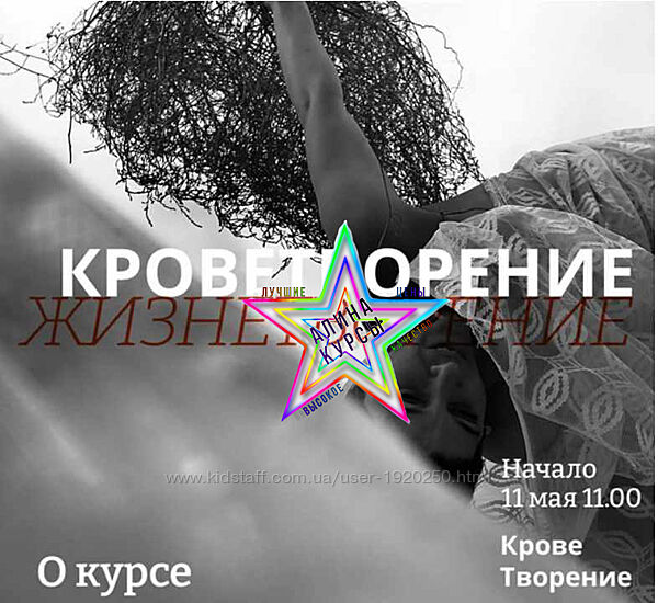  Анна Титова - Набор Курсов