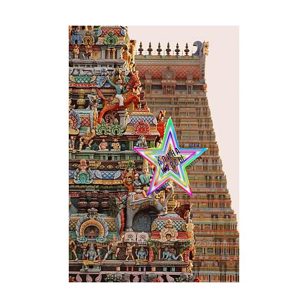 Дмитрий Солнцев - Набор Курсов