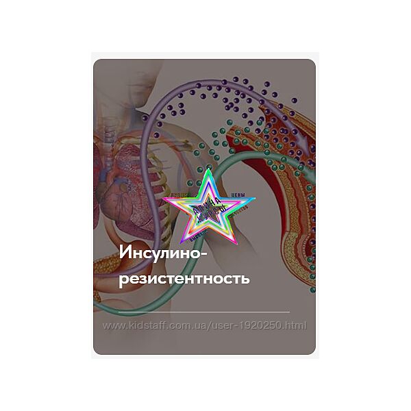 Елена Ержанова - Набор Курсов