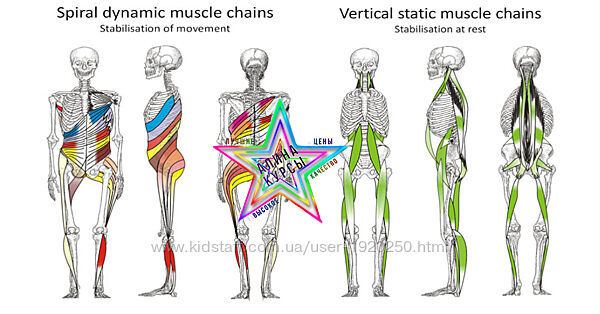 Рихард Смишек - Спиральная стабилизация тела