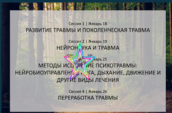 Бессел ван дер Колк - Набор Курсов