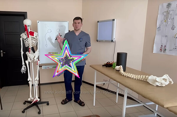 Антон Алексеев - Набор Курсов