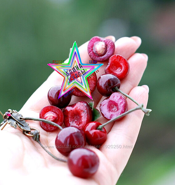 Елена Кишинская - Набор Курсов