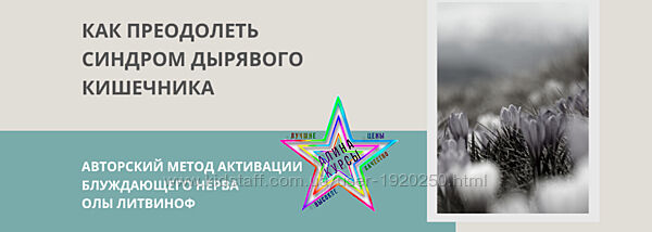 Ола Литвиноф - Набор Курсов