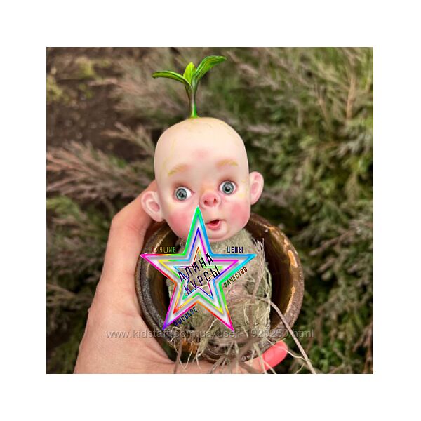 Алина Журбинская - Набор Курсов