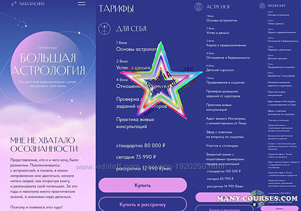 Лиза Васина - Набор Курсов