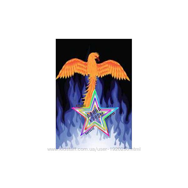 Линда Колиберт - Набор Курсов