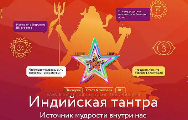 Сергей Пахомов - Набор Курсов