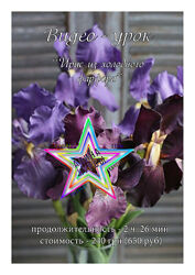 Инна Голубева - Набор Курсов