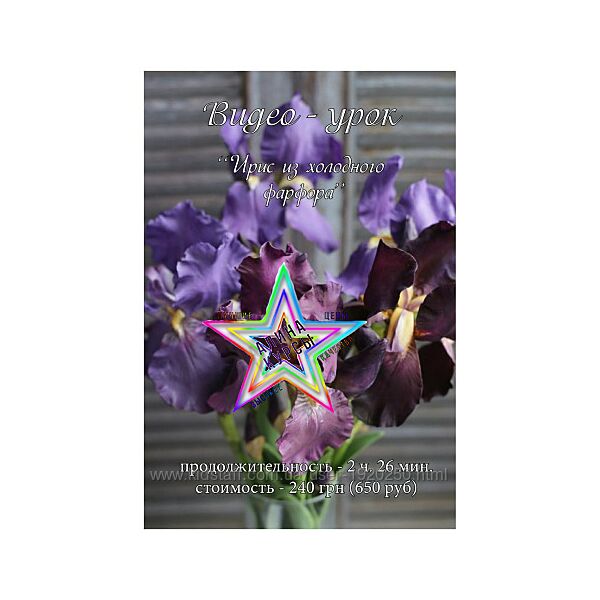 Инна Голубева - Набор Курсов