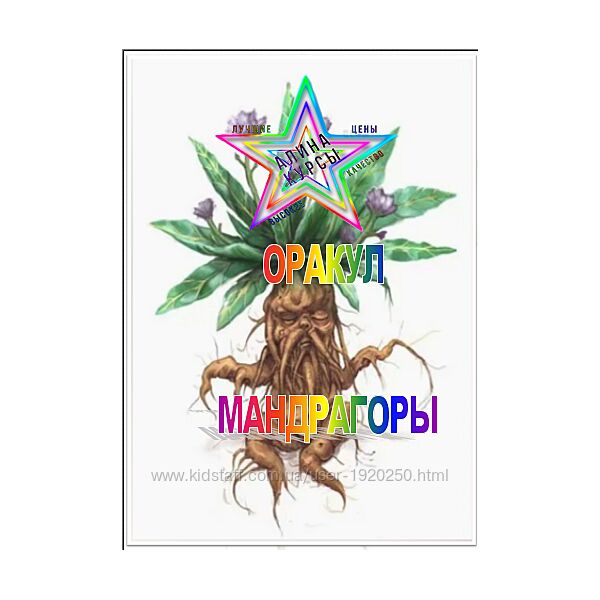 Мила Соловей - Набор Курсов