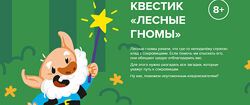 Квест Лесные гномы