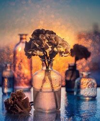 Секреты создания идеального натюрморта. Тариф Всё включено