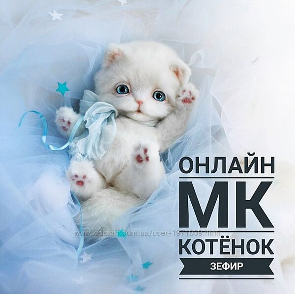 Котёнок Зефир Инна Борзенкова
