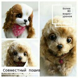  Совместный пошив Кокер-спаниель Инна Борзенкова