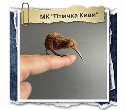 Птичка Киви Наташа Косова