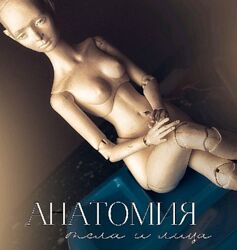  Анатомия тела и лица Людмила Кибанова
