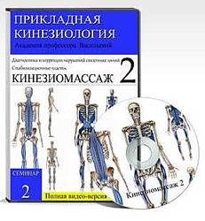 Кинезиомассаж-2. Связочные нарушения Евгения Чижикова
