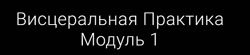 Висцеральная практика. Модуль 1 Егор Москалёв