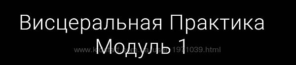 Висцеральная практика. Модуль 1 Егор Москалёв