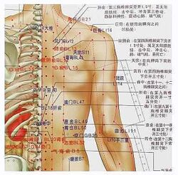  Туина. Курс от новичка до мастера. Часть 2 из 2 Декстер Линч