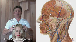 Страдаете от головной боли Акупрессура точечный массаж Василий Колобов