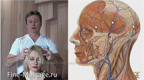 Страдаете от головной боли Акупрессура точечный массаж Василий Колобов