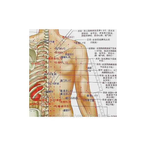 Туина. Путь к мастерству. Часть 2 из 2 Декстер Линч