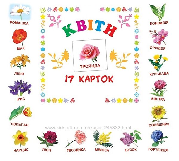 Каточки домана картки квіти українська англійська 17шт