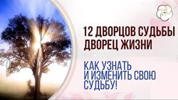 Наталья Пугачева - 12 Дворцов Судьбы