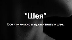 Антон Епифанов - Шея. Все что можно и нужно знать о шее