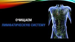 Евгений Козлов - Очищение лимфатической системы и сборник простых рецептов