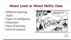 Ирина Ботнарь - How to teach mixed level groups