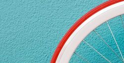 Мария Климова - Цвет в фотографии