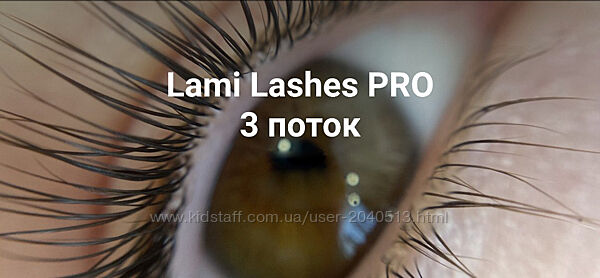 Анна Ромашенко - Lami Lashes Pro 3 поток. Стандартный Плюс. Ламинирование