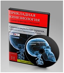 Людмила Васильева - Краниосакральная терапия. Коррекция после травм