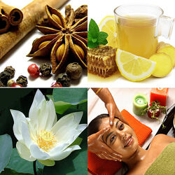 Борис Рагозин - Аюрведическая медицина 6 месяцев. Полный курс