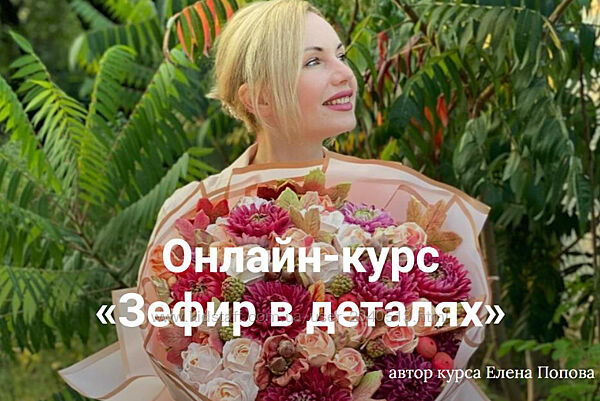 Елена Попова -  Зефир в деталях. Полный курс