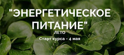 Юлия Дашевски - Энергетическое питание - блок Лето