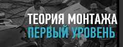 Дмитрий Ларионов - Теория монтажа. Базовый уровень