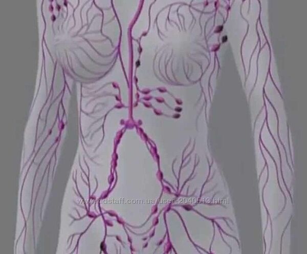 Энже Кадырова - Здоровый кишечник