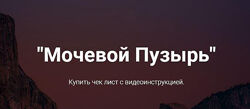 Егор Москалев - Чек-лист Мочевой Пузырь